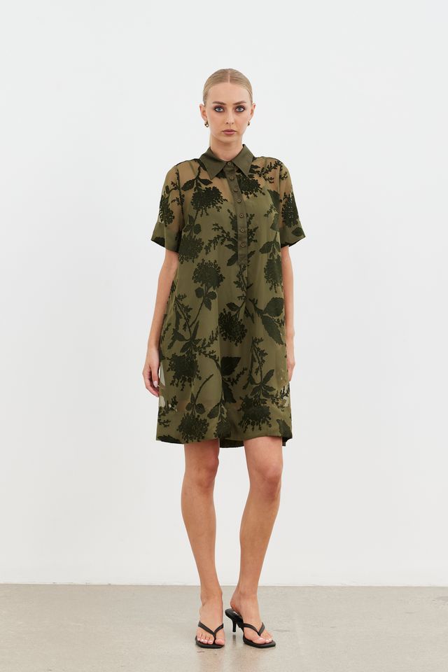 Echo Collar Dress
