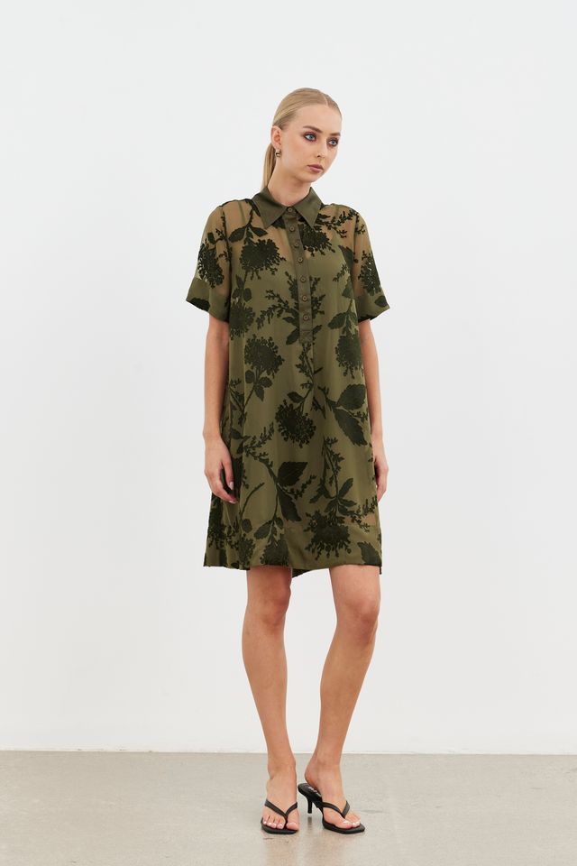 Echo Collar Dress