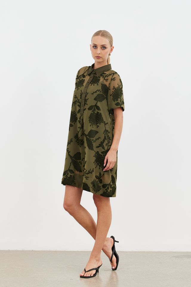 Echo Collar Dress